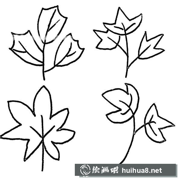 樹葉簡筆畫圖片大全