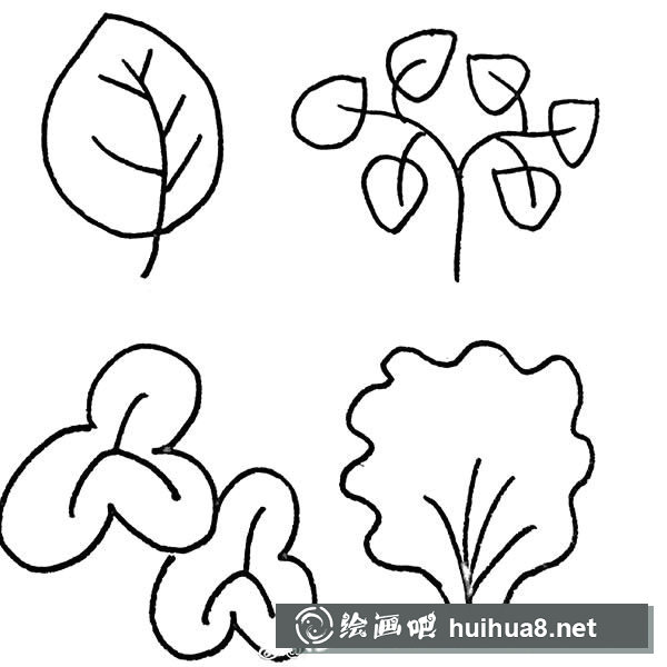 樹葉簡筆畫圖片大全