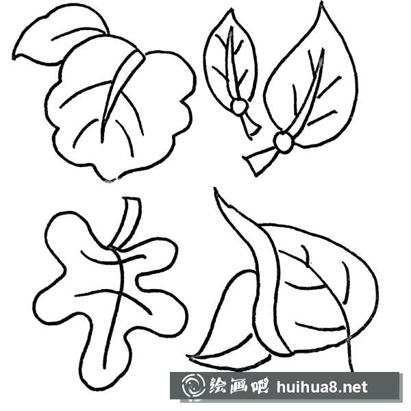 樹葉簡筆畫圖片大全