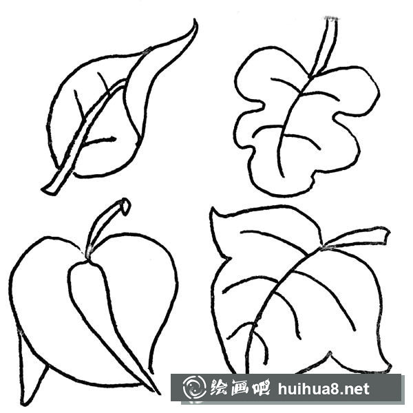 樹葉簡筆畫圖片大全