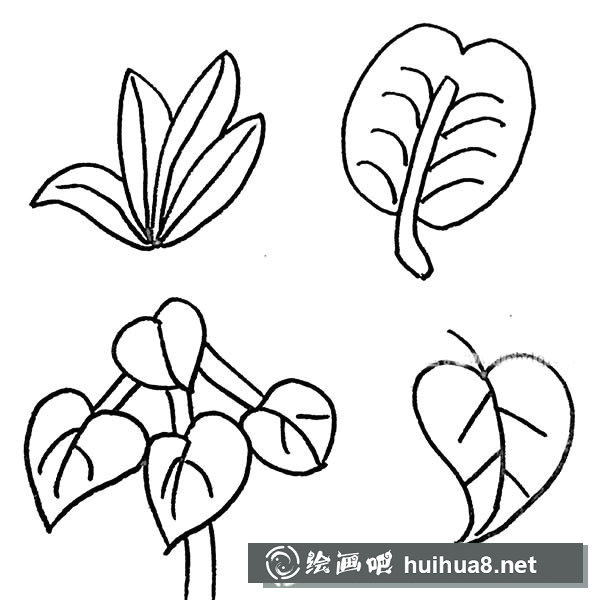 樹葉簡筆畫圖片大全
