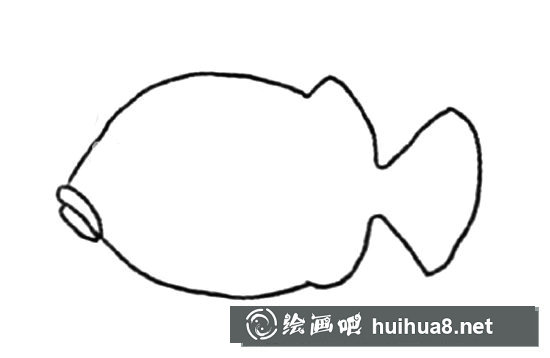 簡(jiǎn)單的小丑魚簡(jiǎn)筆畫的畫法步驟圖
