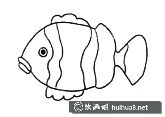 簡(jiǎn)單的小丑魚簡(jiǎn)筆畫的畫法步驟圖