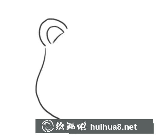 怎樣畫可愛的獅子簡筆畫圖片