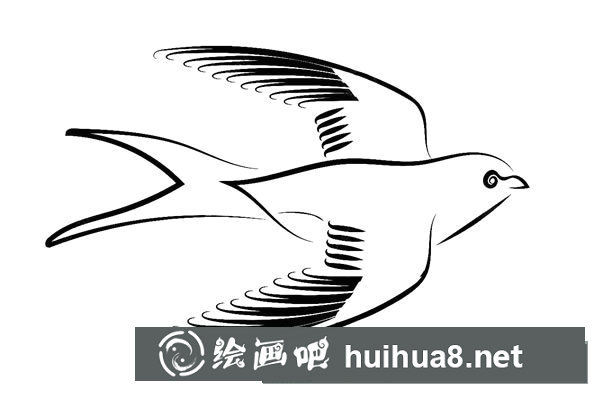 簡筆畫小燕子，飛行的小燕子簡筆畫圖片02