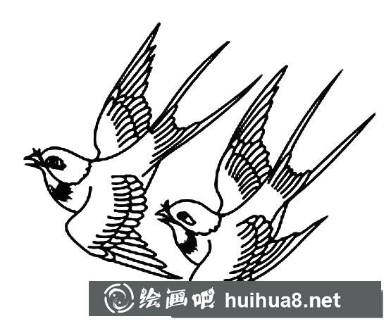簡筆畫小燕子，飛行的小燕子簡筆畫圖片05