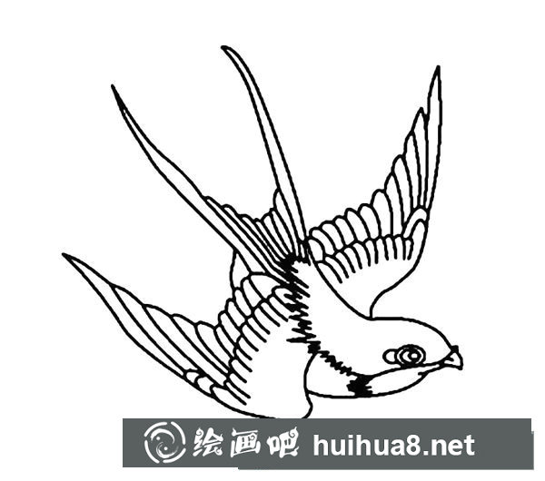 簡筆畫小燕子，飛行的小燕子簡筆畫圖片06