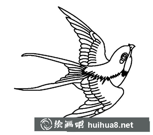 簡筆畫小燕子，飛行的小燕子簡筆畫圖片07