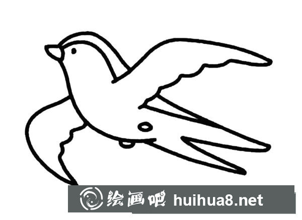 簡筆畫小燕子，飛行的小燕子簡筆畫圖片11