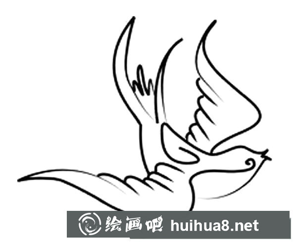 簡筆畫小燕子，飛行的小燕子簡筆畫圖片12