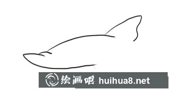 簡筆畫鯊魚的畫法步驟圖