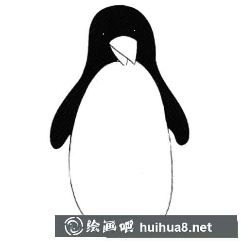 簡筆畫企鵝的畫法步驟圖片