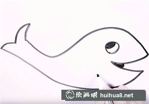 淡水魚簡筆畫