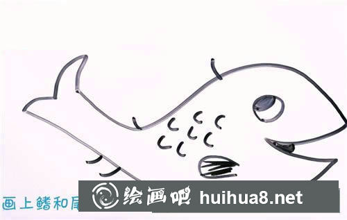 淡水魚簡筆畫