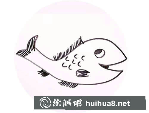 淡水魚簡筆畫