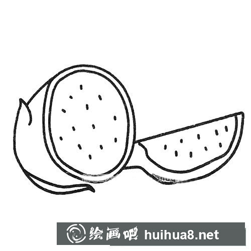 火龍果簡(jiǎn)筆畫圖片