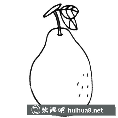 梨畫法簡(jiǎn)筆畫圖片大全