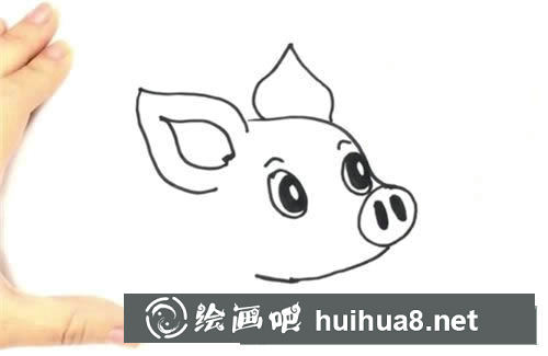 可愛小豬簡筆畫步驟圖