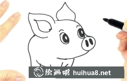 可愛小豬簡筆畫步驟圖