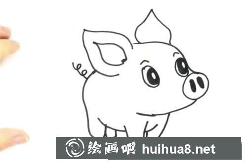 可愛小豬簡筆畫步驟圖