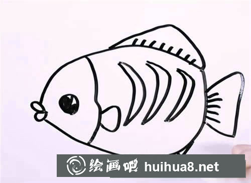 如何畫一條花斑魚 花斑魚的簡(jiǎn)筆畫圖解步驟