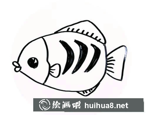如何畫一條花斑魚 花斑魚的簡(jiǎn)筆畫圖解步驟