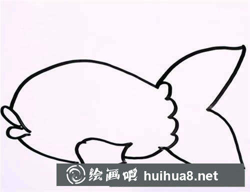 金魚圖片簡筆畫