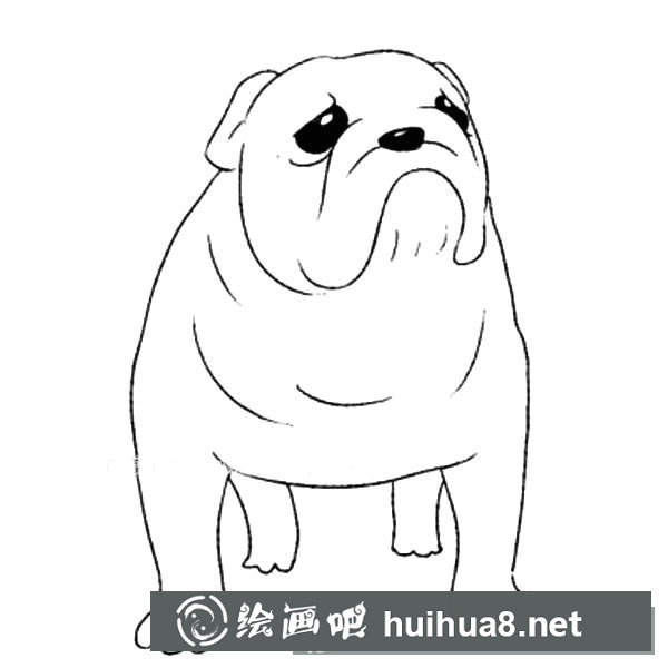斗牛犬與主人互動圖片