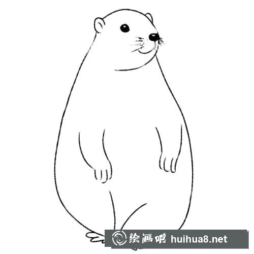 土撥鼠簡(jiǎn)筆畫圖片