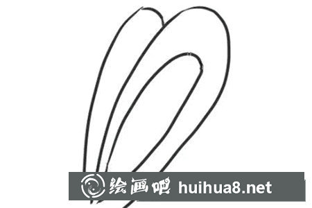 小兔子簡(jiǎn)筆畫(huà)步驟圖解2