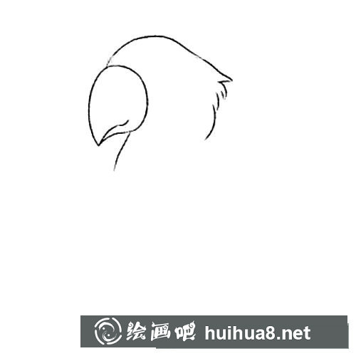 聰明的鸚鵡簡(jiǎn)筆畫(huà)