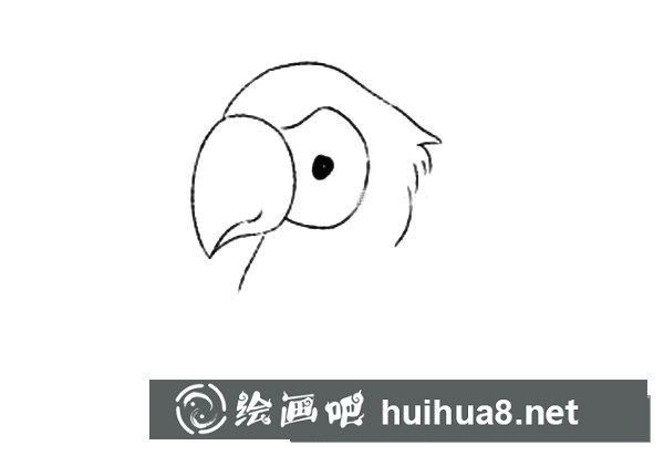 聰明的鸚鵡簡(jiǎn)筆畫(huà)
