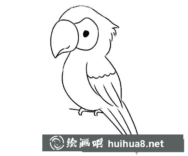 簡(jiǎn)筆畫(huà)鸚鵡的畫(huà)法步驟圖解