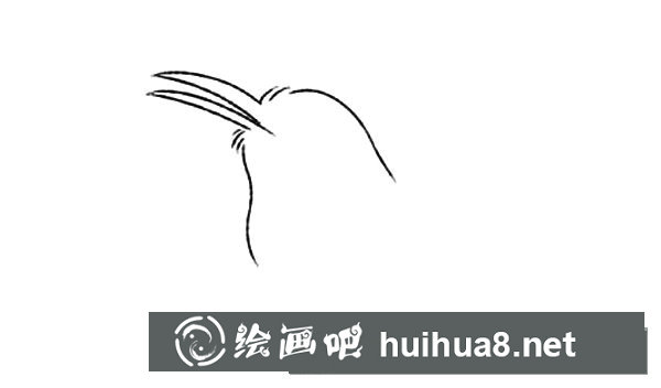 小喜鵲簡筆畫