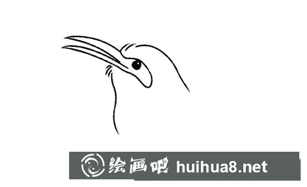 小喜鵲簡筆畫