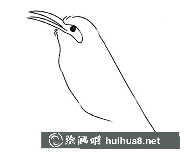 小喜鵲簡筆畫