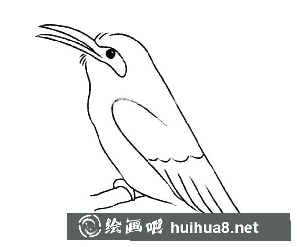 小喜鵲簡筆畫