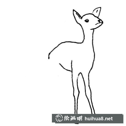 可愛動物麋鹿簡筆畫