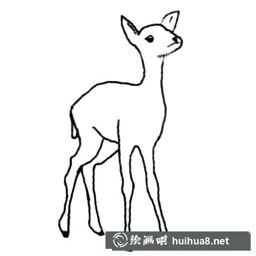 可愛動物麋鹿簡筆畫