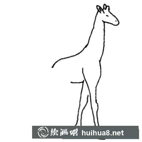 長頸鹿的畫法步驟圖