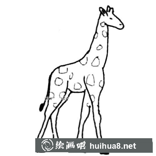 長頸鹿的畫法步驟圖
