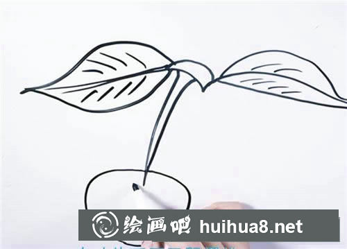 櫻桃簡筆畫圖片