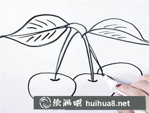 櫻桃簡筆畫圖片