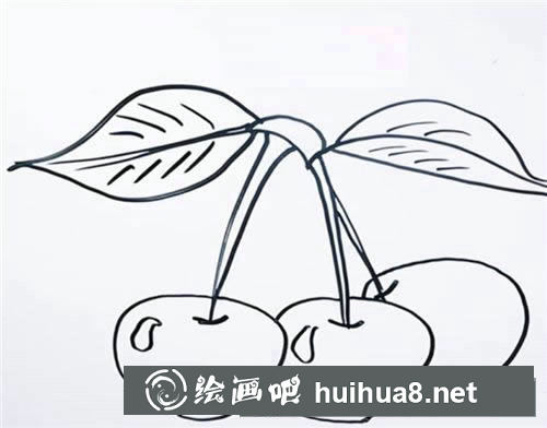 櫻桃簡筆畫圖片