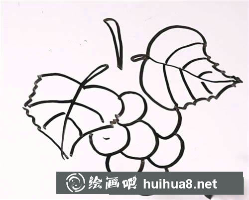 葡萄簡(jiǎn)筆畫(huà)的畫(huà)法步驟圖