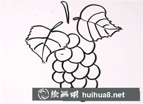 葡萄簡(jiǎn)筆畫(huà)的畫(huà)法步驟圖