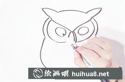 可愛貓頭鷹簡筆畫步驟圖
