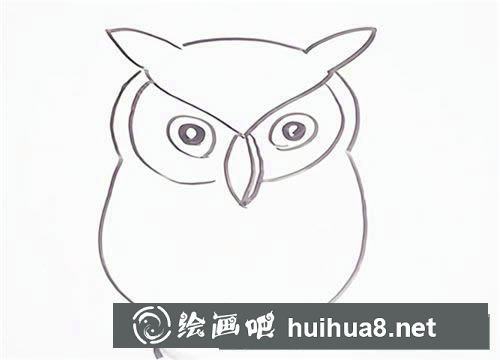 可愛貓頭鷹簡筆畫步驟圖