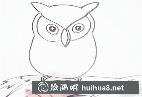可愛貓頭鷹簡筆畫步驟圖