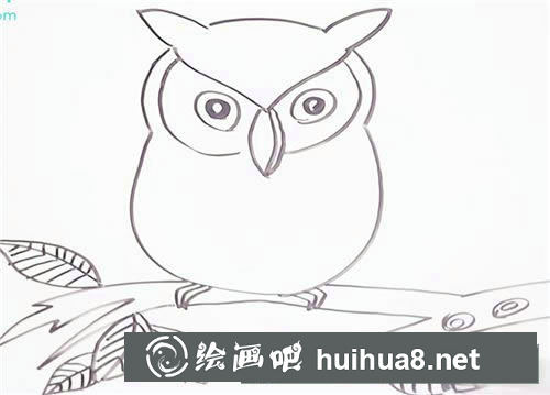 可愛貓頭鷹簡筆畫步驟圖